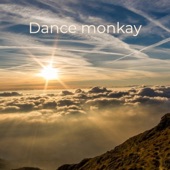Dance Monkay artwork