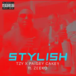 Stylish (feat. Zeeko) - Single by Paigey Cakey & TZY album reviews, ratings, credits