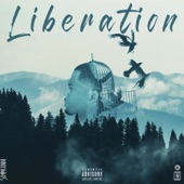 Shokanni - Street Liberation