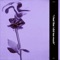 Noidea (+) - ZODIVK lyrics