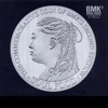 Bmk - When Flowering Spring Comes