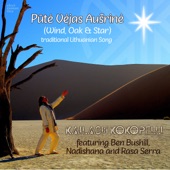 Pute Vejas Ausrine (Wind, Oak & Star) [feat. Ben Bushill, Nadishana & Rasa Serra] artwork