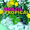 Brazil Tropical