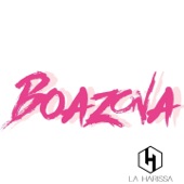 Boazona artwork