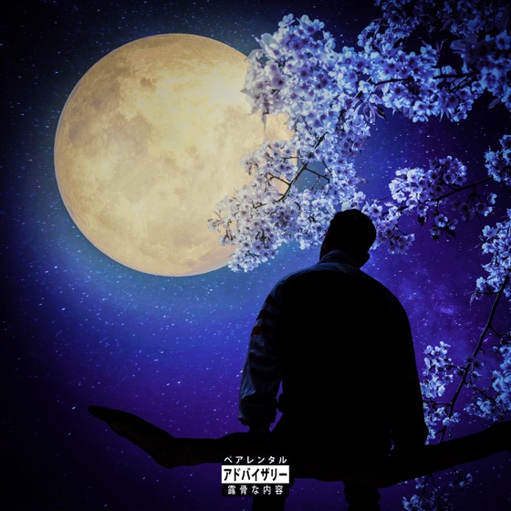 Cover artwork for Luna