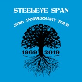 Steeleye Span - One Misty Moisty Morning (Live)