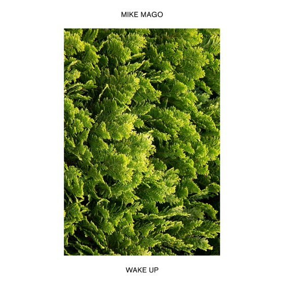 Cover artwork for Wake Up