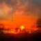 Say Something - Waynewood & JavyDade lyrics