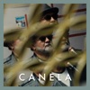 Canela (Duck Sessions) - Single