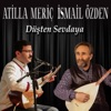 Düşten Sevdaya