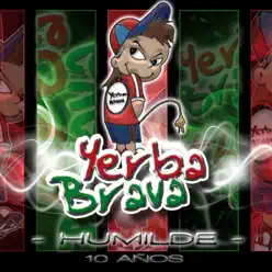 Humilde 10 Años - Yerba Brava