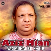 Aadmi Hai Be Nazir, Vol. 35 artwork