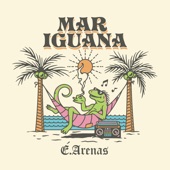 É Arenas - Mar Iguana