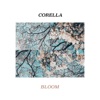 Bloom - Single