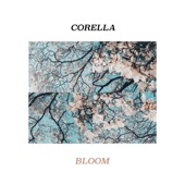 Corella - Bloom