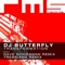 Transformation (Dave Schiemann Remix) - DJ Butterfly lyrics