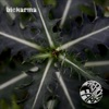 Biokarma - Single