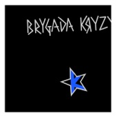Brygada Kryzys - The Real One