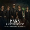 No Ha Parado de Llover - Single