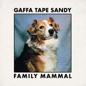 Gaffa Tape Sandy - Kill the Chord