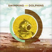 Swimming With Dolphins - Diplomat