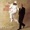 Tony Bennett - DANCING IN THE DARK