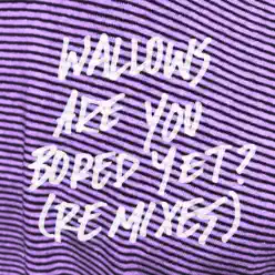 Are You Bored Yet? (feat. Clairo) [Big Data Remix] - Single - Wallows