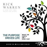 Rick Warren - The Purpose Driven Life artwork