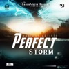 Perfect Storm