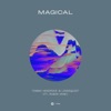 Magical (feat. Robin Vane) - Single