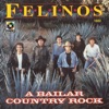 Los Felinos - Jambalaya