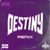 Destiny (feat. T. Carriér) [Remix] - Single album lyrics, reviews, download