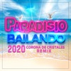 Bailando 2020 (feat. DJ Patrick Samoy, Raquel Rodgers, Shelby Diaz, María G & Alvaro Gomez) [Corona de Cristales Remix] - Single