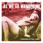 Possessed By Paul James - I'm So Good at Absolutely Nothing