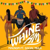 Whine Am (feat. Social Mula) artwork