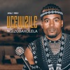 Ngizobaxolela - Single