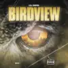 Birdview - Single album lyrics, reviews, download