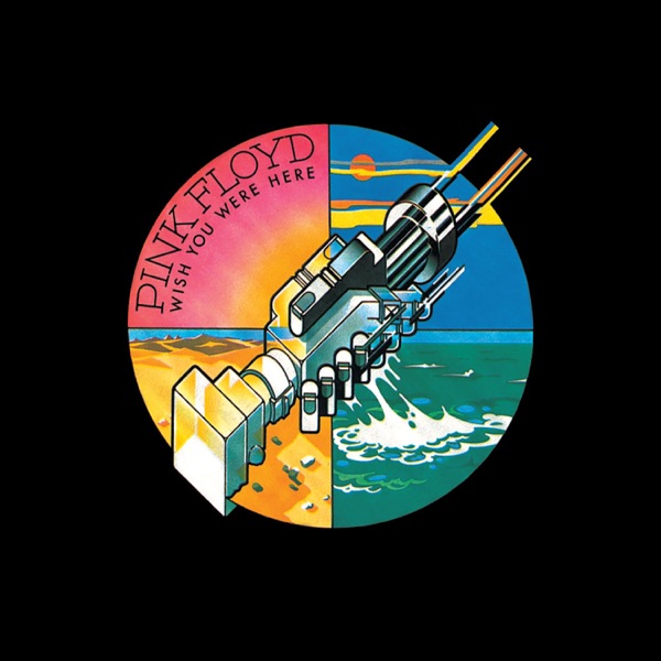 Raving and Drooling (Live at Wembley, 1974) [2011 Mix] - Single - Pink Floyd