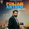 Punjabi Anthem - Single