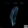 Fly (feat. V3DA) - Single album lyrics, reviews, download
