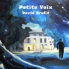 David Brulin - Petite Voix