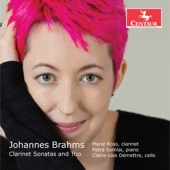 Brahms: Clarinet Sonatas, Op. 120 & Clarinet Trio, Op. 114 artwork