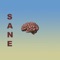 Sane - Burgundy lyrics