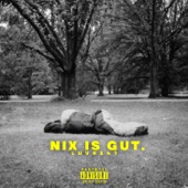 Nix is gut artwork