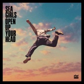 Open Up Your Head artwork