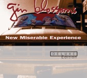 Gin Blossoms - Number One - Album Outtake