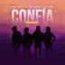 Confía Remix (feat. Ariel Ramirez) song reviews