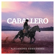 Caballero - Alejandro Fernández