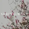 Spring: Wake - Single album lyrics, reviews, download