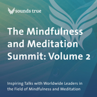 Shinzen Young, Michael Gervais, PhD, Daniel Goleman, Ph.D., Vidyamala Burch & Alanis Morissette - The Mindfulness and Meditation Summit: Volume 2: Inspiring Talks with Worldwide Leaders in the Field of Mindfulness and Meditation (Original Recording) artwork